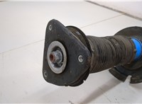  Амортизатор подвески Ford Focus 3 2014-2019 20652109 #2