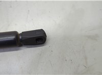 FL7Z16C826A Амортизатор капота Lincoln Navigator 2006-2014 20652230 #2