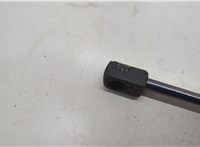 FL7Z16C826A Амортизатор капота Lincoln Navigator 2006-2014 20652230 #3