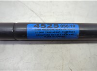 FL7Z16C826A Амортизатор капота Lincoln Navigator 2006-2014 20652230 #5
