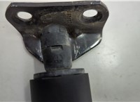  Амортизатор крышки багажника Ford Escape 2015-2019 20652243 #4