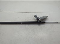  Амортизатор крышки багажника Lincoln Navigator 2006-2014 20652368 #1