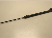 904501JA2A Амортизатор крышки багажника Nissan Quest 2010-2018 20652370 #1