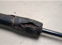 904501JA2A Амортизатор крышки багажника Nissan Quest 2010-2018 20652370 #3