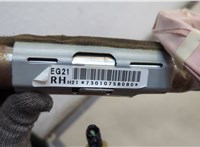 Подушка безопасности боковая (шторка) Mazda CX-7 2007-2012 20652679 #4