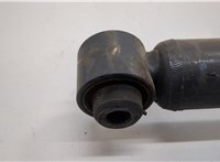 33506880604, 33536884917 Амортизатор подвески BMW X3 G01 2017-2024 20652781 #4