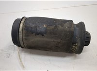 40247687, A1643200725, A1643201025, A1663200325 Пневмоподушка Mercedes GL X164 2006-2012 20652829 #1