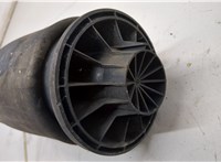 40247687, A1643200725, A1643201025, A1663200325 Пневмоподушка Mercedes GL X164 2006-2012 20652829 #2