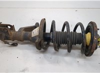  Амортизатор подвески Honda Element 2002-2011 20652862 #1