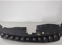 Пластик (обшивка) моторного отсека Dodge Charger 2014-2025 20653499 #1