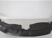 Пластик (обшивка) моторного отсека Dodge Charger 2014-2025 20653499 #2