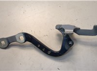 41007494944 Петля крышки багажника BMW X3 G01 2017-2024 20653852 #2