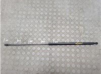 51238240596 Амортизатор капота BMW 7 E65 2001-2008 20654224 #1