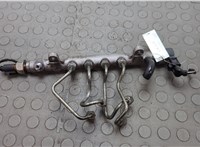 Рампа (рейка) топливная Volkswagen Passat 6 2005-2010 20654448 #1