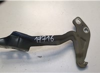 DS7Z16796A Петля капота Ford Fusion 2012-2016 USA 20654472 #1