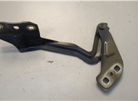 DS7Z16796A Петля капота Ford Fusion 2012-2016 USA 20654472 #2