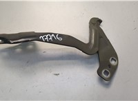 DS7Z16797A Петля капота Ford Fusion 2012-2016 USA 20654477 #1