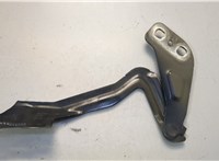 DS7Z16797A Петля капота Ford Fusion 2012-2016 USA 20654477 #2