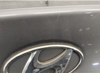 692003Q000 Крышка (дверь) багажника Hyundai Sonata 6 YF 2009-2014 20654799 #4