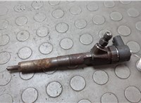 55566050 Форсунка топливная Opel Astra J 2010-2017 20654889 #1