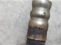 55353811 Лямбда зонд Opel Zafira B 2005-2014 20654955 #3