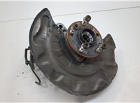 5Q0407621F, 5QM407254, 5Q0615312F Ступица (кулак, цапфа) Volkswagen Tiguan 2016-2020 20655005 #1