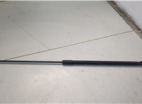 5NA823359A Амортизатор капота Volkswagen Tiguan 2016-2020 20655366 #1