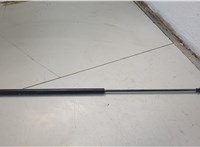  Амортизатор капота BMW 7 E65 2001-2008 20655372 #1
