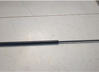 Амортизатор капота Ford Edge 2018-2023 20655381 #1