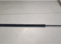 GJ5Z78406A10A, GJ5Z78406A11A Амортизатор крышки багажника Ford Escape 2015-2019 20655404 #1