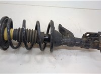  Амортизатор подвески Honda Element 2002-2011 20655494 #1