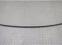 51747458905 Уплотнитель BMW X3 G01 2017-2024 20655818 #1