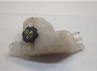  Бачок расширительный Chevrolet Volt 2010-2015 20655874 #1
