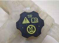  Бачок расширительный Chevrolet Volt 2010-2015 20655874 #2