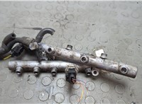  Рампа (рейка) топливная Audi A6 (C6) 2004-2011 20655947 #5