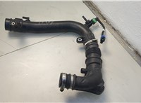  Патрубок корпуса воздушного фильтра Ford EcoSport 2017-2023 20655966 #1