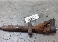  Форсунка топливная Opel Movano 1998-2010 20656006 #1