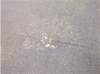 51479462018, 9462018 Пол (ковер) багажника BMW X1 U11, U12 2022-2025 20656080 #5