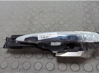 80640JN00A, 806103NK3A Ручка двери наружная Nissan Leaf 2017-2025 20656382 #1