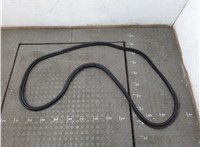 51725A2E816 Уплотнитель BMW X1 U11, U12 2022-2025 20656461 #1