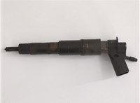 13537808089 Форсунка топливная BMW X5 E70 2006-2013 20656483 #1