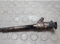 3380027800, 0445110254 Форсунка топливная Hyundai Santa Fe 2005-2012 20656535 #1