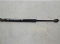 81161S1000 Амортизатор капота Hyundai Santa Fe 2018-2024 20656957 #1