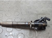 0445116016 Форсунка топливная Volvo XC60 2008-2017 20656979 #1