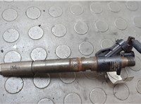 0445116016 Форсунка топливная Volvo XC60 2008-2017 20656980 #1