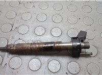 0445116024 Форсунка топливная BMW X5 E70 2006-2013 20657007 #1