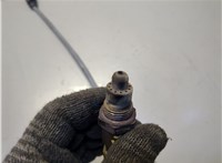 06K906262AP Лямбда зонд Volkswagen Tiguan 2016-2020 20657346 #2