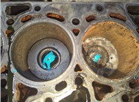 Блок цилиндров (Шорт блок) Peugeot Boxer 2006-2014 20657622 #14