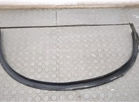 Молдинг крыла BMW X6 E71 2007-2014 20657828 #3