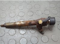 Форсунка топливная Renault Scenic 2012-2016 20658130 #1